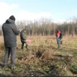 Посадовців з Хмельниччини викрили на незаконних рубках деревини