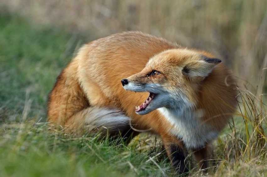 99c1cac3051652030e715735a790d129