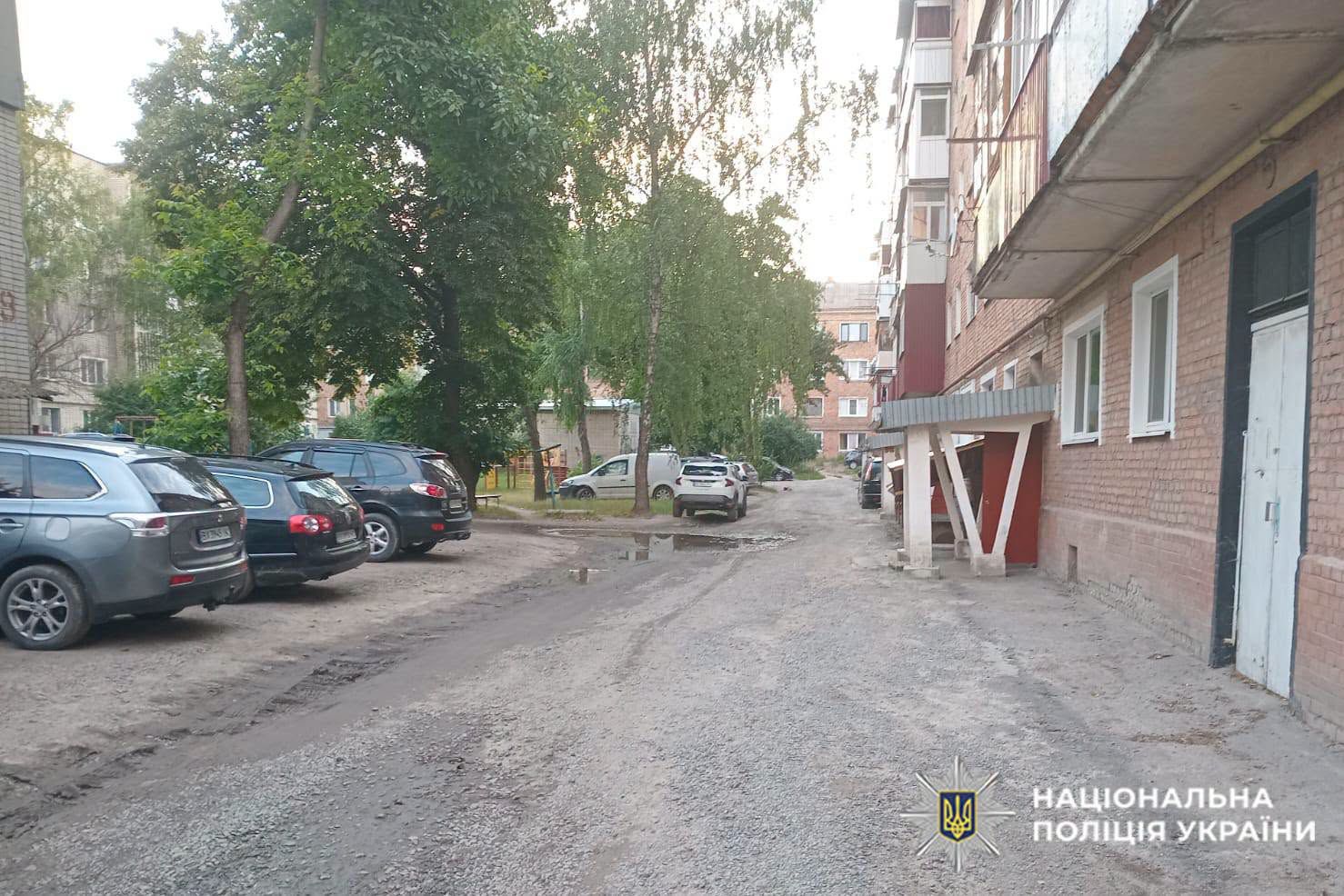 Хмельниччина: 13-річний підліток з ножем проти 7-річного. Поліція розслідує.