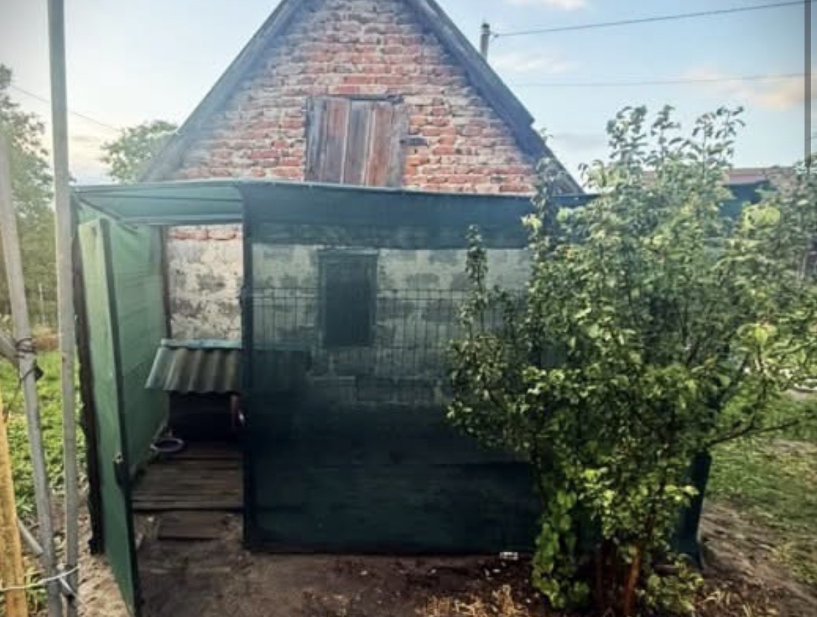 Жахливий акт насильства у Львові: чоловік понівечив собаку ножем та встромив вила.
