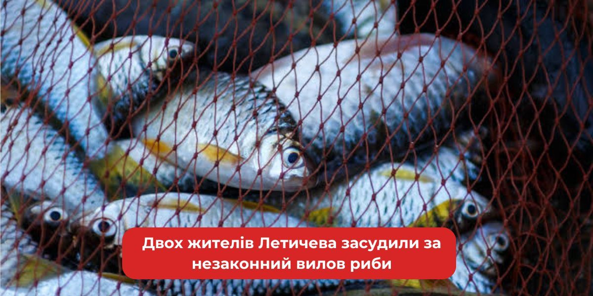Летичівські браконьєри: Два мешканці селища засуджені за незаконний вилов риби.