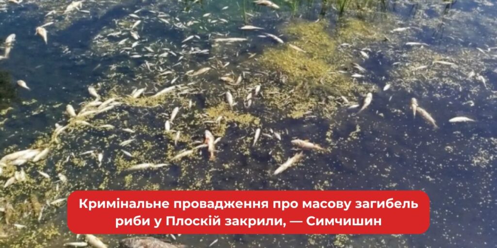 Справа про загибель риби у Плоскій: Симчишин заявив про закриття провадження.