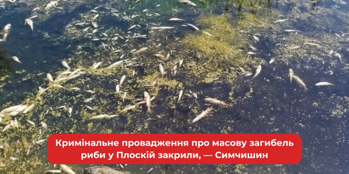 Справа про загибель риби у Плоскій: Симчишин заявив про закриття провадження.
