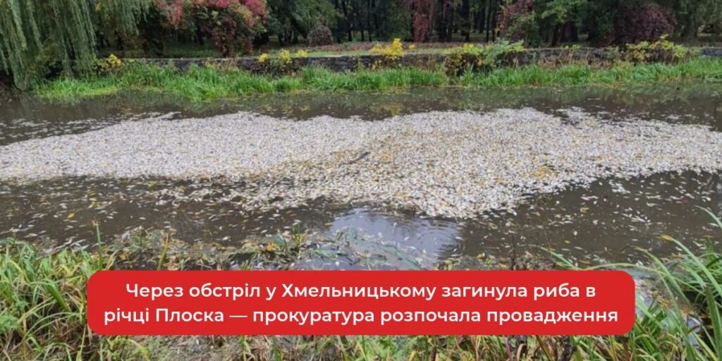 4157675-cherez-obstril-u-hmelnitskomu-zaginula-riba-v-richtsi-ploska-prokuratura-rozpochala-provadz.jpeg
