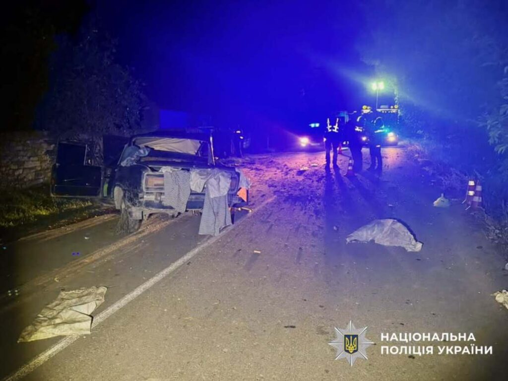 Дунайська трагедія: п'яний водій врізався в дерево, пасажир загинув