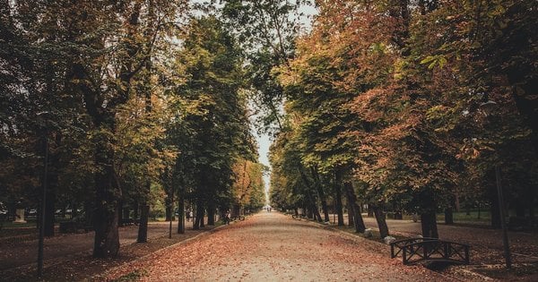 Жовтень 2026: заморозки та непередбачувана погода в Україні